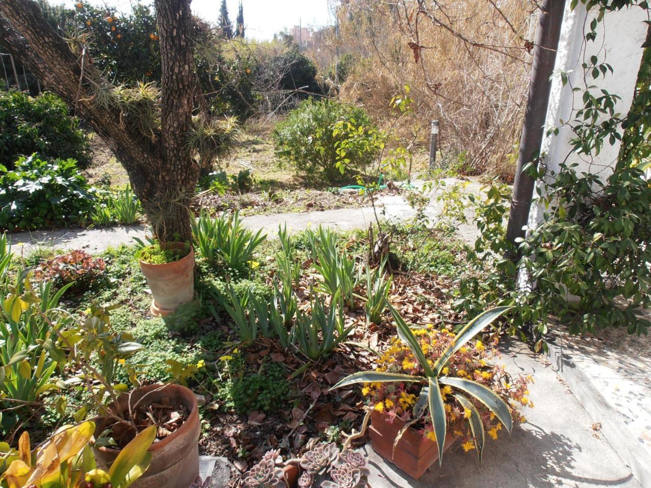 Casa Fortuna Imperia Εξωτερικό φωτογραφία